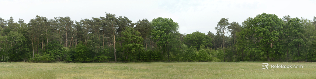 Wild Scenery texture