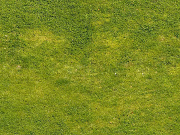 Turf texture (ID:ffaag47869)