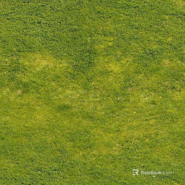 Turf texture