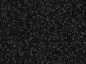 Black and White Bump texture (ID:ffaeg19786)