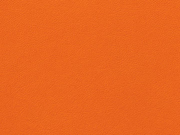 fine grain leather texture (ID:ffaeg24062)