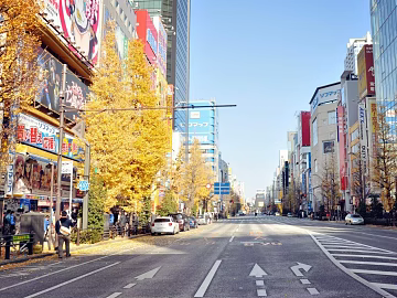 Street View texture (ID:ffabg66316)