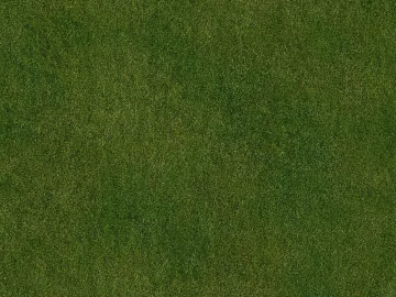 Turf texture (ID:ffaeg87297)