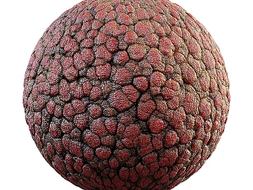 Biological Fur PBR texture (ID:ffach726994)