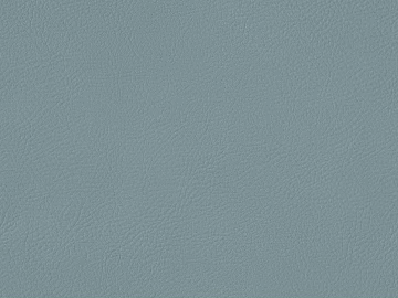 fine grain leather 3d model