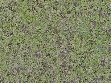 Turf ground texture (ID:ffaaf3107)