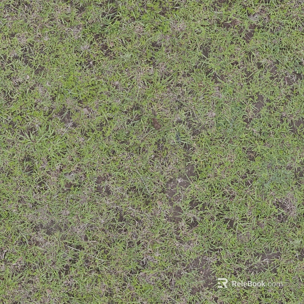 Turf ground texture