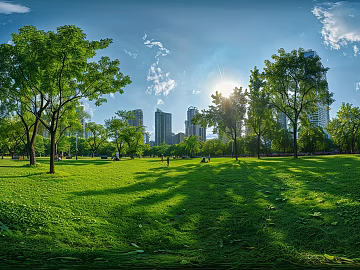 Park texture (ID:ffach956655)