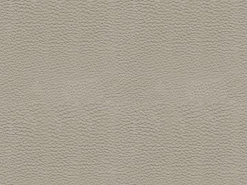 fine grain leather texture (ID:ffajg09469)