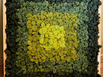 Plant wall texture (ID:ffagg97922)