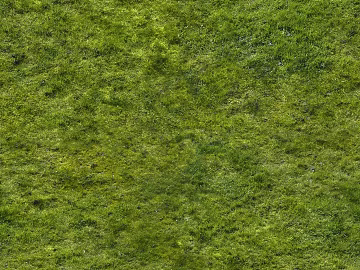 Turf ground texture (ID:ffaaf5930)