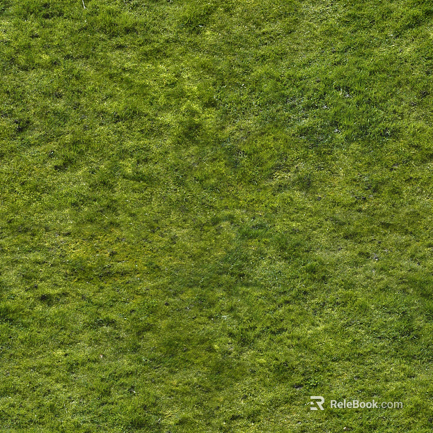 Turf ground texture