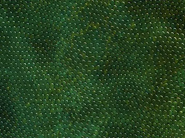 Snakeskin texture (ID:ffacg86208)
