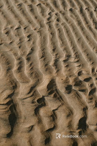 Beach texture