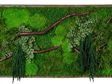Plant wall texture (ID:ffagg73429)
