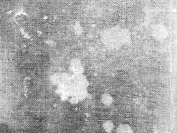 Black and White Bump texture (ID:ffabg52706)