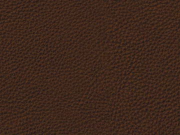 Coarse-grain leather texture (ID:ffaag60200)