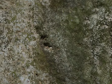 rock rock green plant seamless texture (ID:ffagg45223)