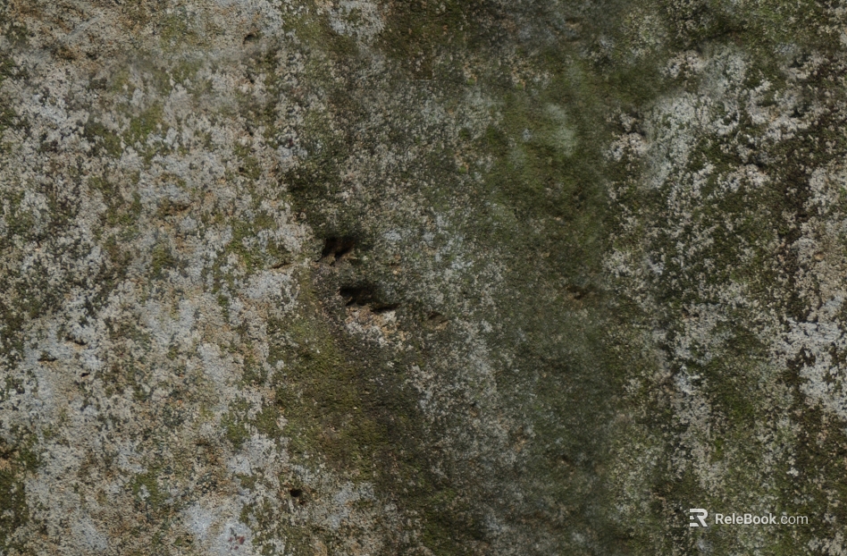 rock rock green plant seamless texture