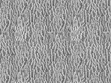 Black and White Bump texture (ID:ffacf1219)