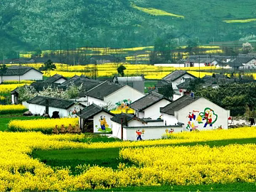 Residential Exterior texture (ID:ffaef9204)