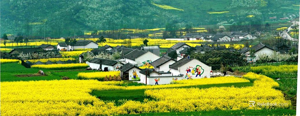 Residential Exterior texture