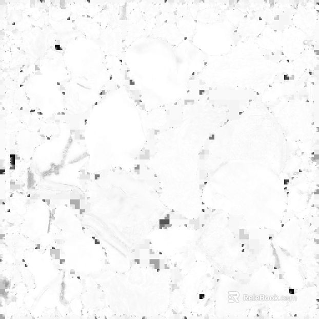 White terrazzo kitchen wall ground texture