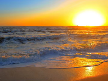 Wild Scenery texture (ID:ffagg78852)