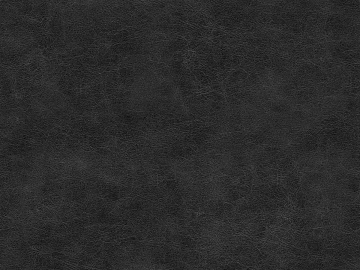 fine grain leather 3d model
