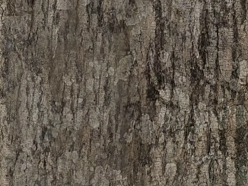 bark texture (ID:ffajg73146)