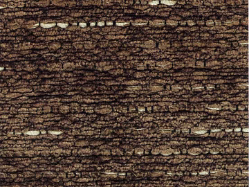 bark texture (ID:ffaif5779)