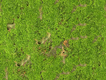 moss texture (ID:ffaeh154147)