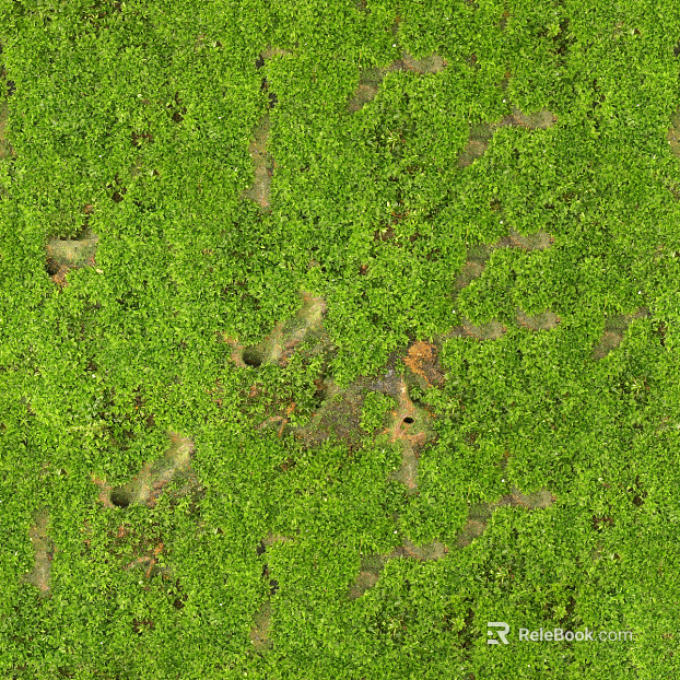 moss texture