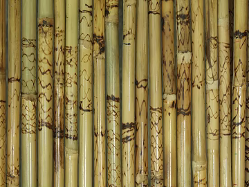 Bamboo texture (ID:ffagg30477)