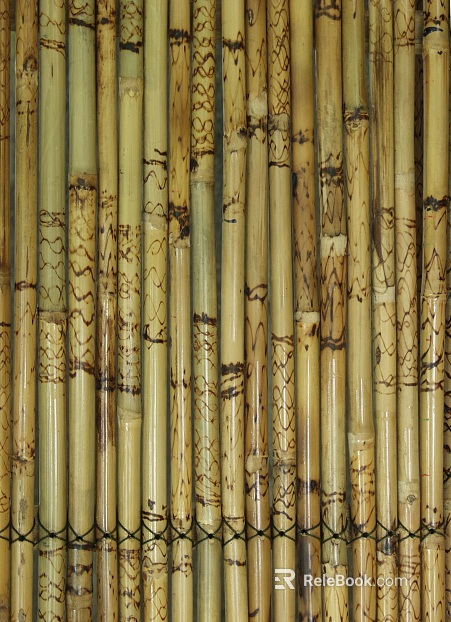 Bamboo texture