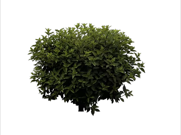 Plants texture (ID:ffajg18880)