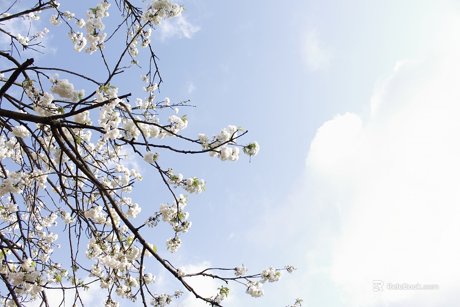 Sky texture