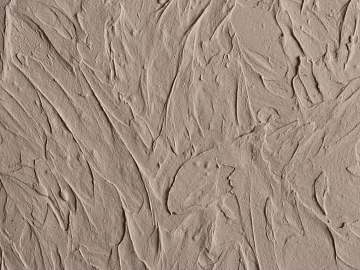 diatom mud texture (ID:ffhje170)