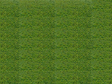 Turf texture (ID:ffaeg68994)