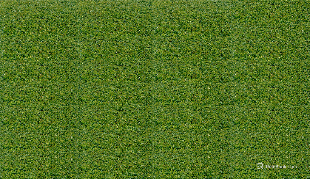 Turf texture