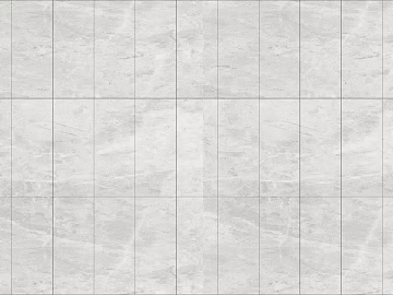 Mesh Marble light gray Marble Tile texture (ID:ffagg82461)