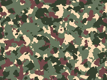 camouflage cloth pattern texture (ID:ffagg61237)
