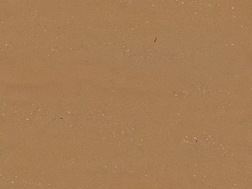 Sand texture (ID:ffagg04554)