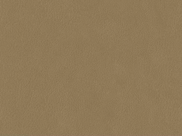 fine grain leather texture (ID:ffabg00222)