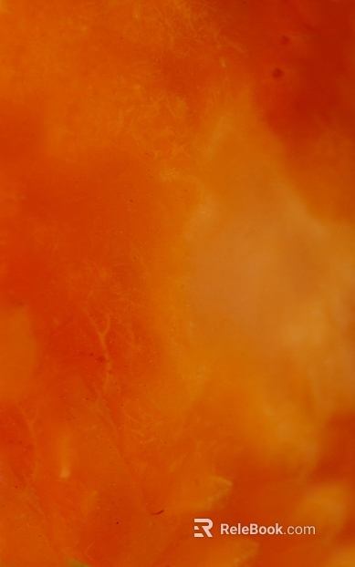 Orange Translucent Stone Wall Decoration texture