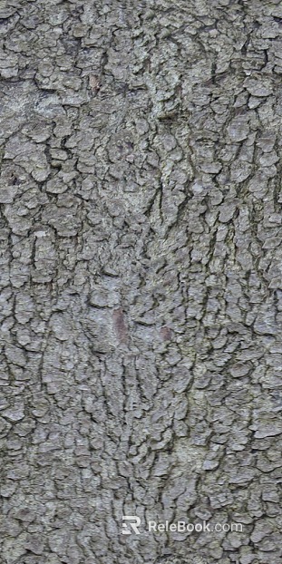 Taupe Bark Natural Surface texture