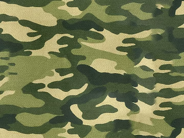Camouflage texture (ID:ffaag35052)