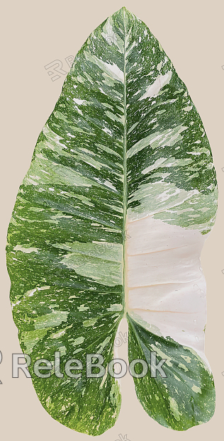 A dense cluster of lush, green leaves with vibrant hues, forming a textured, overlapping canopy. The edges are slightly curled, showcasing the natural beauty and depth of the foliage.