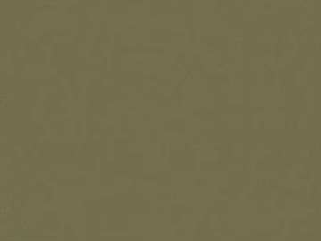 Leather texture (ID:ffacg69338)