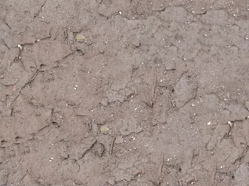 Sand texture (ID:ffacg91216)